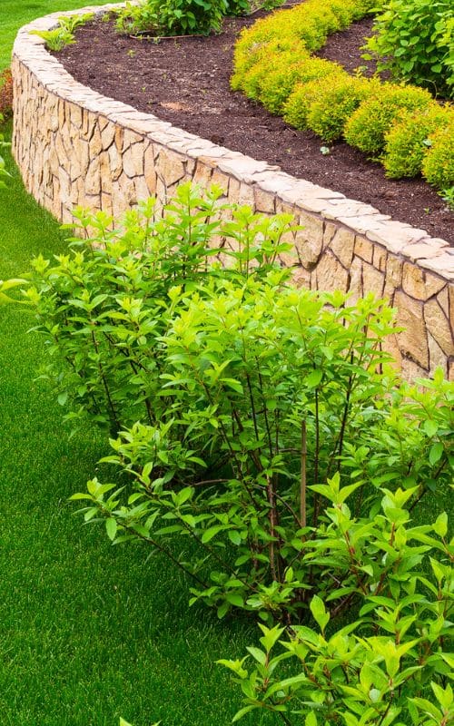 Landscaping In greenville SC